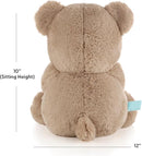 10-Inch Benny Teddy Bear Stuffed Animal – Ultra-Soft Baby Plush Toy, Machine Washable Comfort Bear for Boys & Girls