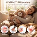Heated Teddy Bear Plush – USB Heating Pad for Cozy Comfort