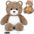 Heated Teddy Bear Plush – USB Heating Pad for Cozy Comfort